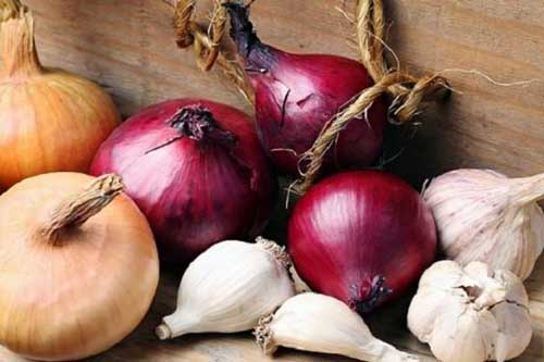 Mẹo bảo quản tỏi, hành, gừng đơn giản, cứ yên tâm để quanh năm không sợ mọc mầm
