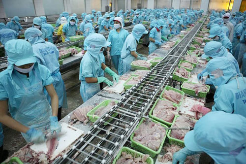 Xuất khẩu thủy sản giảm mạnh do ảnh hưởng của dịch Covid-19