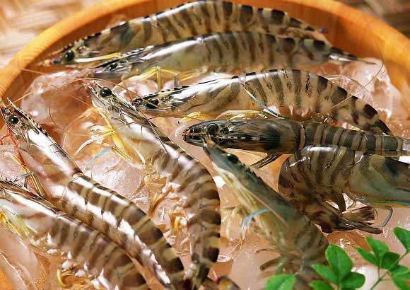 Nấu hải sản chỉ cần làm thêm bước này, hết sạch mùi tanh khó chịu món ăn thơm ngon ai cũng mê