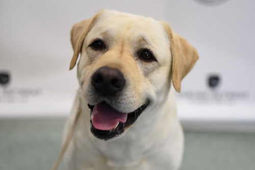 Được 'trời ban phước', 3 con giáp này dễ ‘gánh’ lộc về nhà, đếm tiền ‘sái tay’ trong cuối tháng 5 Âm lịch 