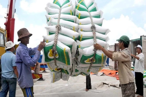 Triển vọng xuất khẩu gạo đang được mở ra khi EVFTA được Quốc hội thông qua. (Ảnh minh họa: Dân trí)