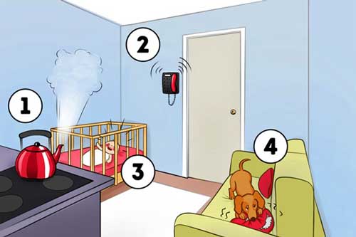 Trắc nghiệm: Cách giải quyết tình huống tiết lộ sự thật về con người bạn