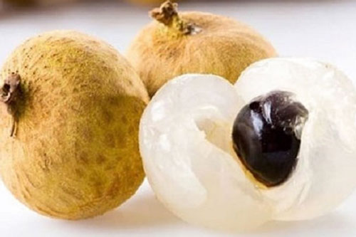 Nh&#x1EEF;ng lo&#x1EA1;i h&#x1EA1;t l&#xE0;m thu&#x1ED1;c