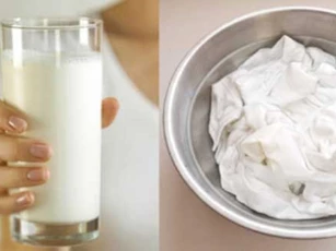 Con dâu đổ sữa vào chậu quần áo, diễn biến tiếp theo khiến cả nhà kinh ngạc