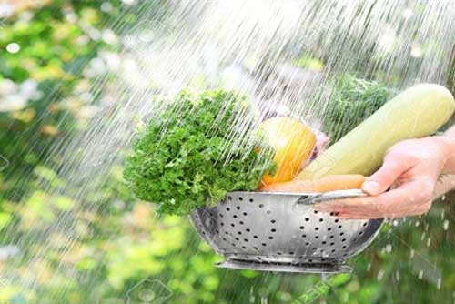 Cách ăn rau nhiều người thích nhưng lại rước vi khuẩn vào cơ thể, "phá hoại" đường ruột