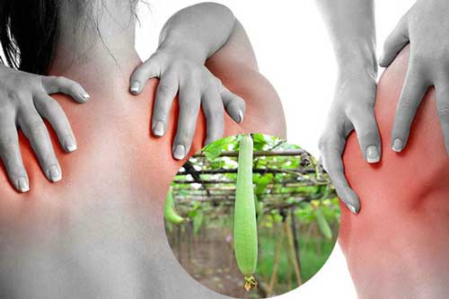 Ăn mướp theo cách này còn "bổ hơn uống nhân sâm", ai cũng "tiếc đứt ruột" vì không biết sớm hơn