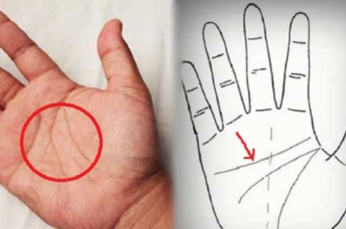 Tướng bàn tay của người phụ nữ dễ có "số hưởng", cả đời sung sướng