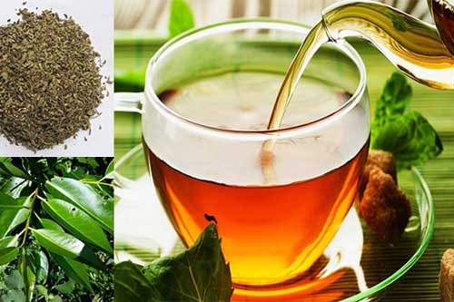 Uống 1 cốc nước vối mỗi ngày, vừa đào thải các độc tố trong cơ thể lại làm sạch ruột hiệu quả