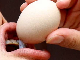 Những lỗi sai tai hại khi ăn trứng mà rất nhiều người Việt vẫn đang mắc phải