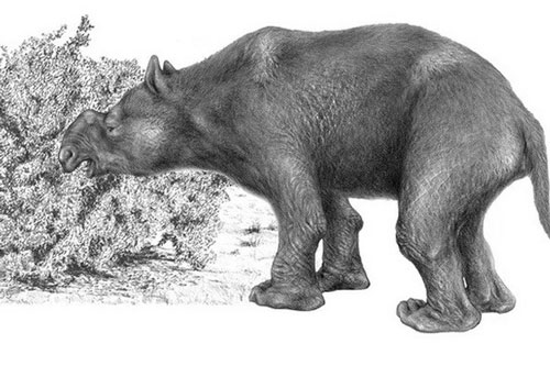Hé lộ nguyên nhân khiến các loài thú khổng lồ tại châu Phi diệt vong