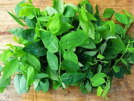 Sai lầm "cấm" bạn được mắc khi ăn rau ngót