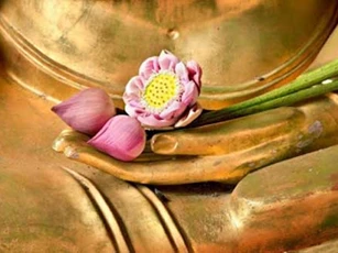 "Làm sao để hoa trong bình tươi lâu?" Chẳng ngờ câu trả lời lại giúp con người hưởng lợi cả đời