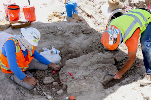 Thành phố rùng rợn: đào đường, 3 lần lọt vào mộ phần "quái thú"