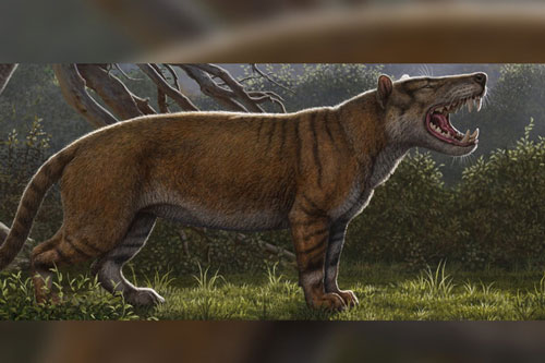 Phục dựng quái thú bí ẩn răng sói, mình sư tử, sọ như tê giác