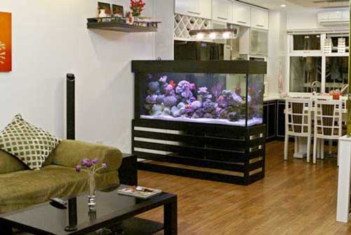 Mẹo phong thủy: Có bể cá cảnh đặt trong nhà phải để ở đây gia đình làm ăn mới dễ phát được