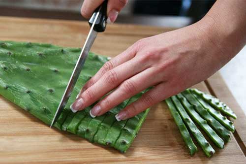 "Thần dược" trị "bách bệnh" nhưng ai cũng đang thờ ơ ném bỏ