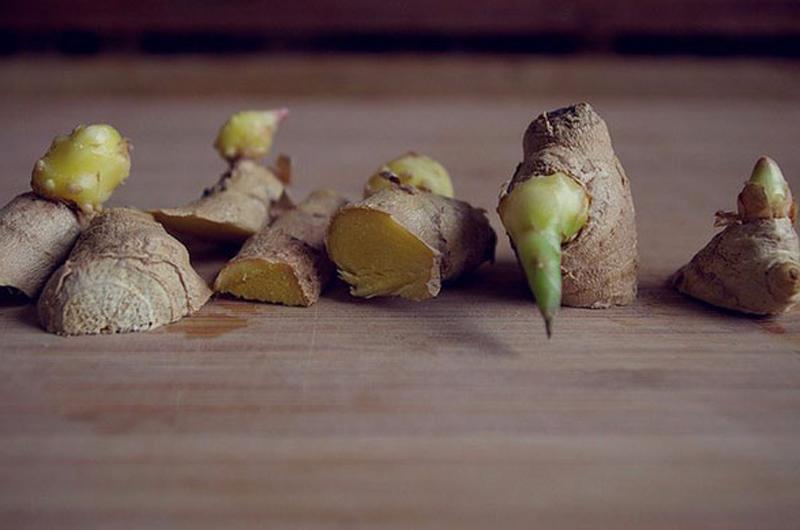 4 loại rau độc nhất thế giới, ăn vào có thể ung thư gan nhưng nhiều người vẫn dùng