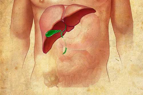 6 loại rau củ thanh lọc và giải độc gan hiểu quả nhất, nên ăn mỗi ngày