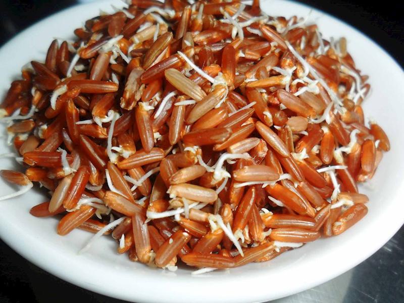 6 thực phẩm mọc mầm không hề độc mà là "thần dược" ngừa cả ung thư nhiều người bỏ phí