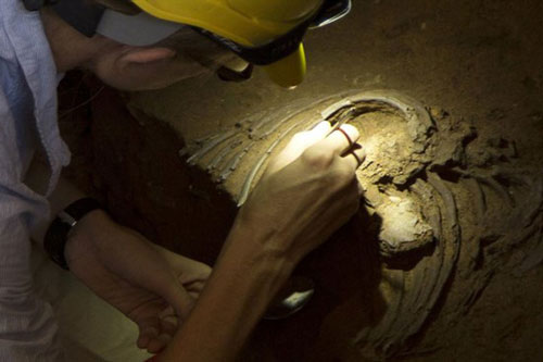 Nhiều người hiện đại mang DNA... loài người khác liên quan đến Covid-19