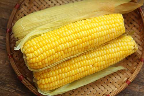 Mỗi ngày 1 bắp ngô giá 5.000 đồng nhưng ngừa được nhiều bệnh, tốt cho sức khỏe