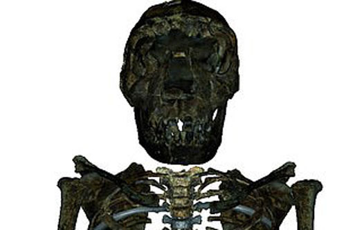 Kinh ngạc trước vóc dáng "nam thần" của… loài người tuyệt chủng 2 triệu tuổi