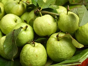 Ăn ổi kiểu này tốt hơn 'nhân sâm nghìn năm', vừa tốt cho sức khỏe lại ngừa được ung thư