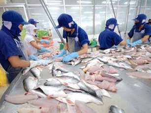 Xuất khẩu cá tra tăng trưởng bất ngờ tại Singapore và Anh