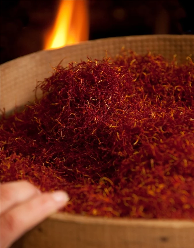 Cận cảnh quá trình thu hoạch saffron - thứ gia vị đắt nhất thế giới được mệnh danh “vàng đỏ“ có giá hàng tỷ đồng 1kg, từng được Nữ hoàng Ai Cập dùng để dưỡng nhan - Ảnh 7.
