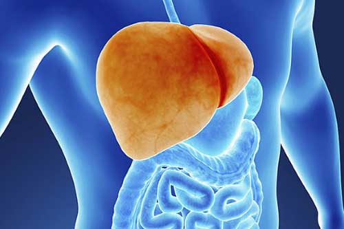 6 loại thực phẩm "thần dược" lọc sạch gan - bổ thận, 10 năm uống thuốc bổ cũng không bằng