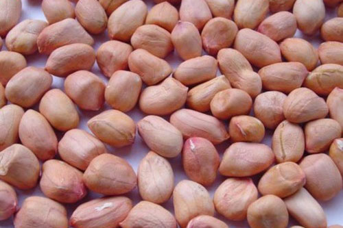 Ăn lạc (đậu phộng) kiểu này cực tốt, vừa phòng chống ung thư lại tốt cho sức khỏe