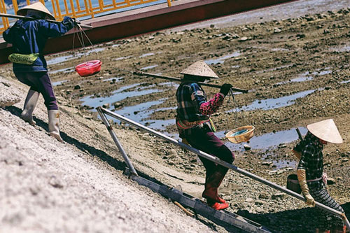 Nghề đặc biệt chỉ dành cho phụ nữ ở "đảo sá sùng"