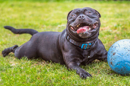 10 ngày tới, 4 con giáp này gặp may mắn đủ đường, dễ 'hốt vàng hốt bạc' về nhà