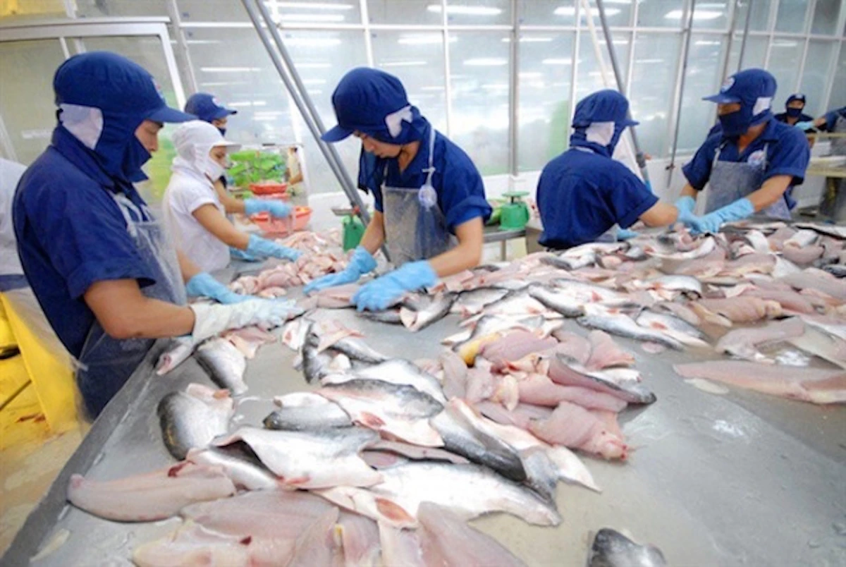 Xuất khẩu cá tra tăng trưởng ở thị trường Singapore và Anh.