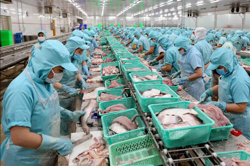 Nửa năm, cả nước có 1.681,5 nghìn tỷ đồng vốn đăng ký thành lập doanh nghiệp