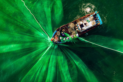 Hình đánh cá Việt Nam và loạt ảnh xanh mát thắng giải quốc tế