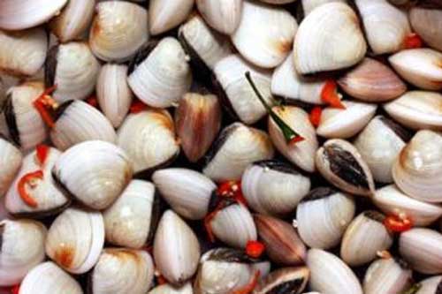 Thả thứ này vào nước ngâm ngao sò giúp loại bỏ bùn cát, món ăn trở nên hoàn hảo