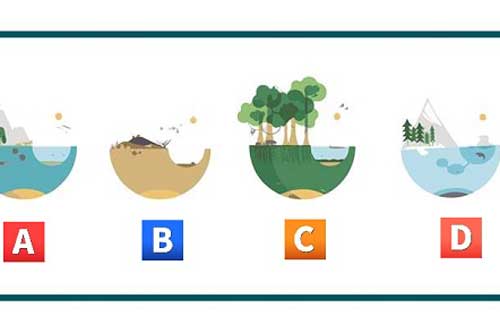 Trắc nghiệm: Phân tích toàn diện ưu nhược điểm của bạn