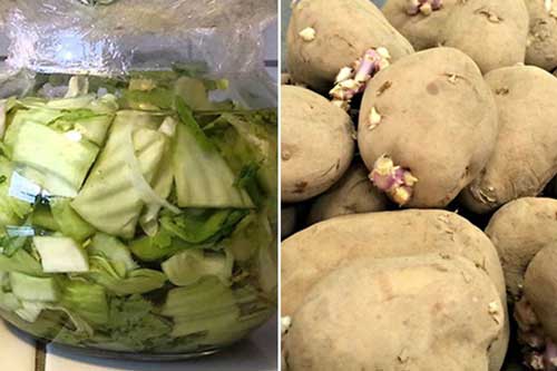 6 loại rau củ chứa đầy độc tố dễ gây ung thư gan, nhiều người vẫn vô tư ăn hàng ngày