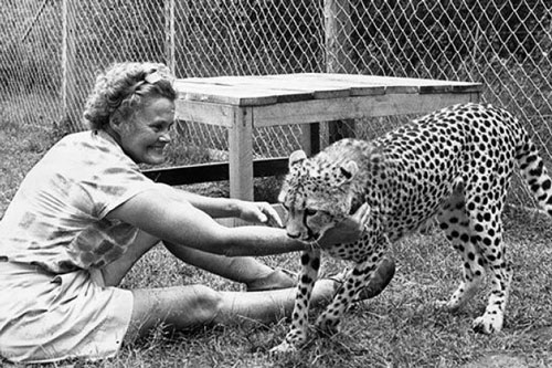 Người phụ nữ dành cả cuộc đời vì động vật hoang dã