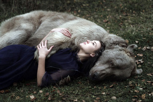 Nữ nhiếp ảnh gia chuyên chụp ảnh động vật hoang dã