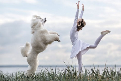 Ngất ngây khoảnh khắc bé gái “khiêu vũ” cùng người bạn 4 chân