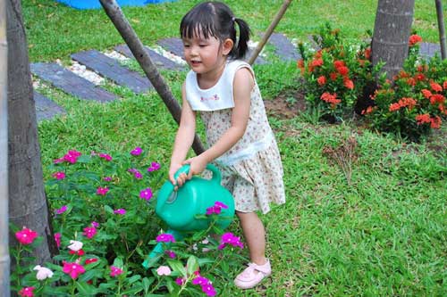 Tưới cây là chuyện đơn giản, tuy nhiên 90% người đang thực hiện sai quy trình