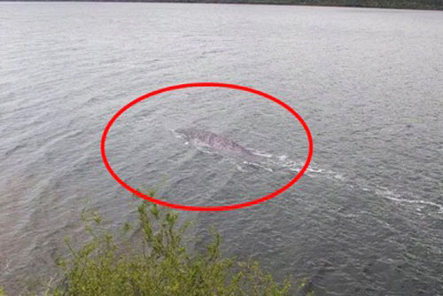 Quái vật hồ Loch Ness quay trở lại?