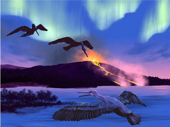 Chim hóa thạch 90 triệu năm tuổi giúp dự đoán biến đổi khí hậu - 1