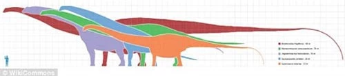 Phát hiện hóa thạch khủng long cao bằng tòa nhà 7 tầng - 8