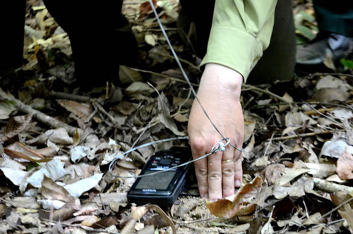 12,3 triệu bẫy dây đang đe dọa động vật hoang dã tại Campuchia, Lào, Việt Nam