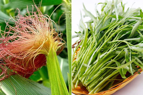 Kết hợp rau muống với những thứ này, bạn đã có 1 bài thuốc quý chữa dứt điểm 3 căn bệnh nguy hiểm