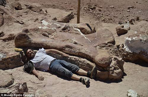 Phát hiện hóa thạch khủng long cao bằng tòa nhà 7 tầng