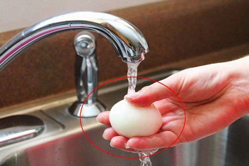Rửa trứng trước khi bảo quản sẽ làm lớp màng này sẽ bị mất đi và khiến cho vi khuẩn xâm nhập vào trong.